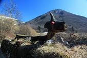22_ e ci osservano